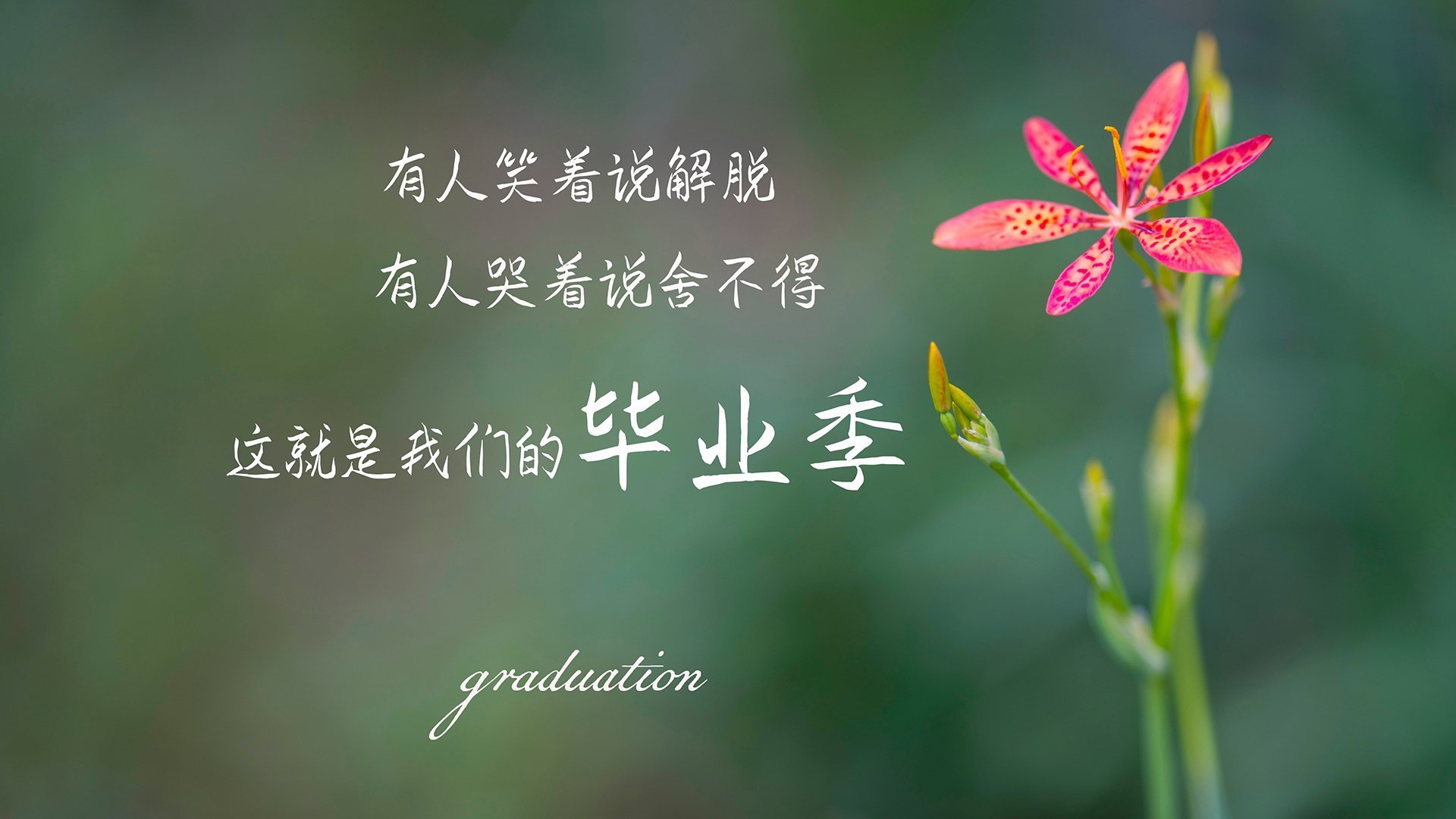 假体隆胸痛苦吗